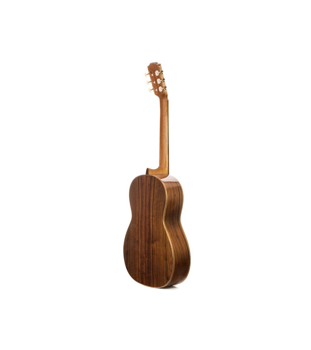 Guitarra Flamenco Estudio |  2-FL  - 2